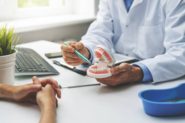 Professional Dental Services in Wilton Manors, FL
